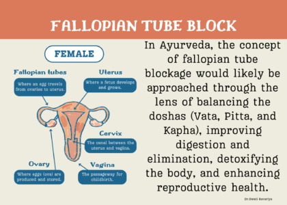 fallopian tube block